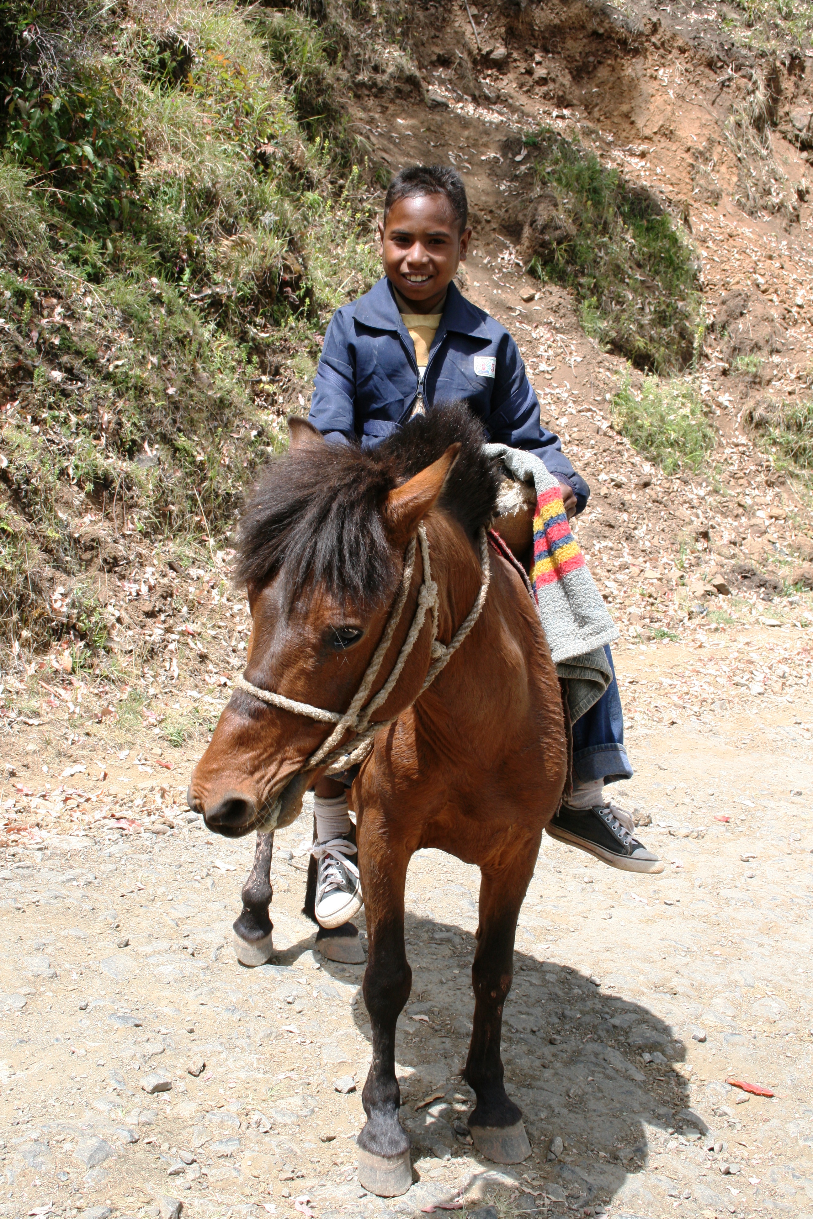Boy and Timor pony
